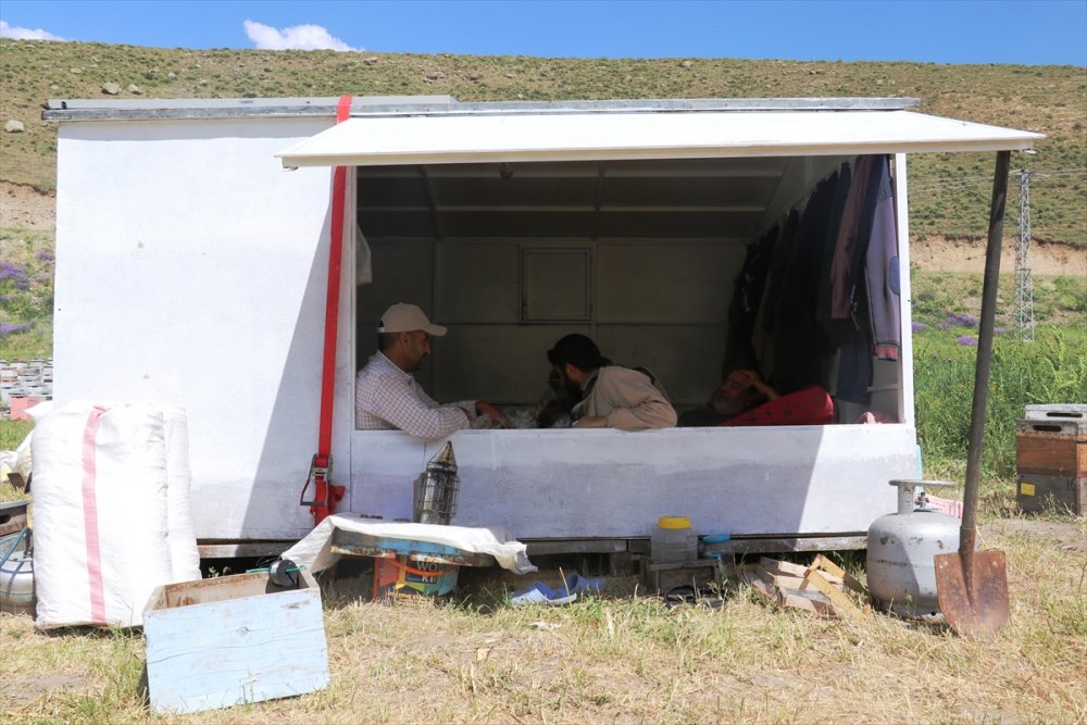 Karadeniz'in Göçer Arıcıları Ağrı'da