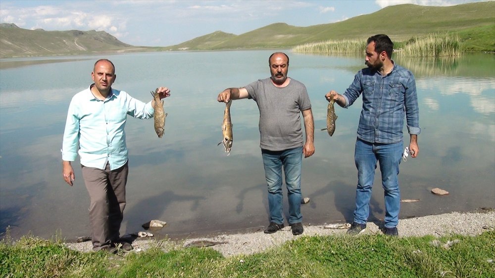 Deniz Gölü'ndeki Balık Ölümlerine İnceleme