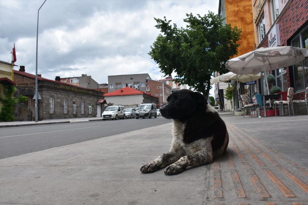 Kars'ta Sokağa Çıkma Kısıtlaması