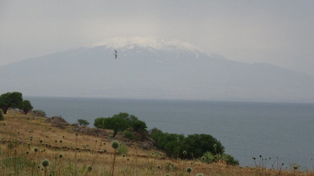 Süphan Dağı’na Temmuz'da Kar Yağdı