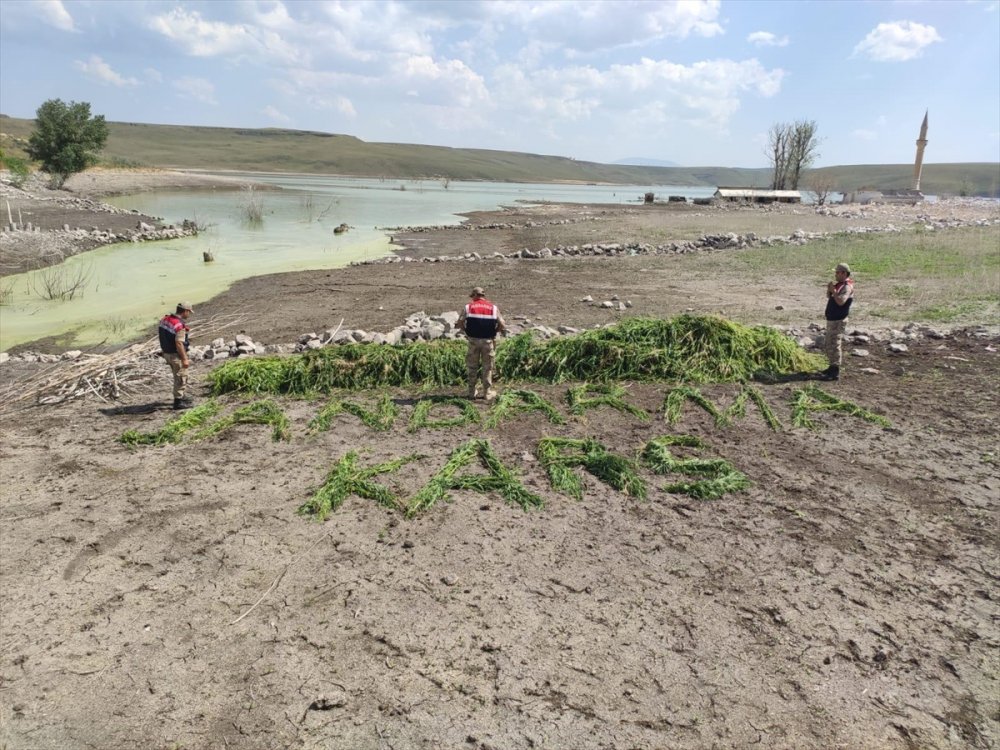 Kars'ta 'Kenevir' Operasyonu