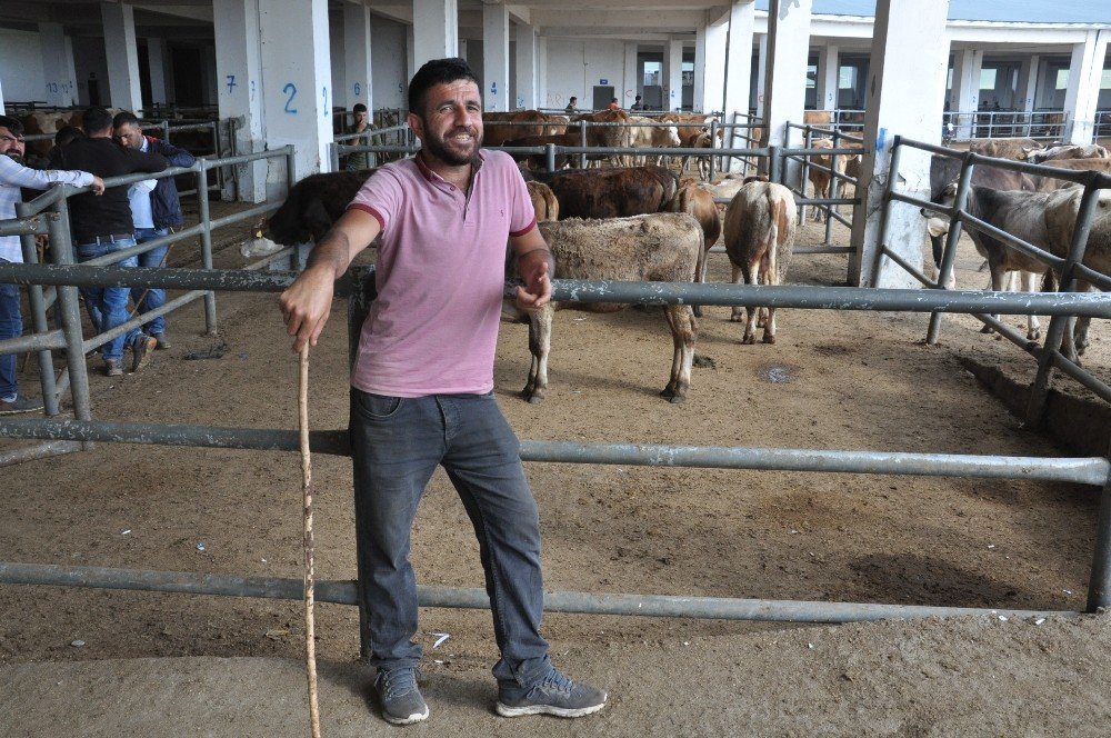 Kars’ta Kurban Pazarı’nda Son Gün Yoğunluğu