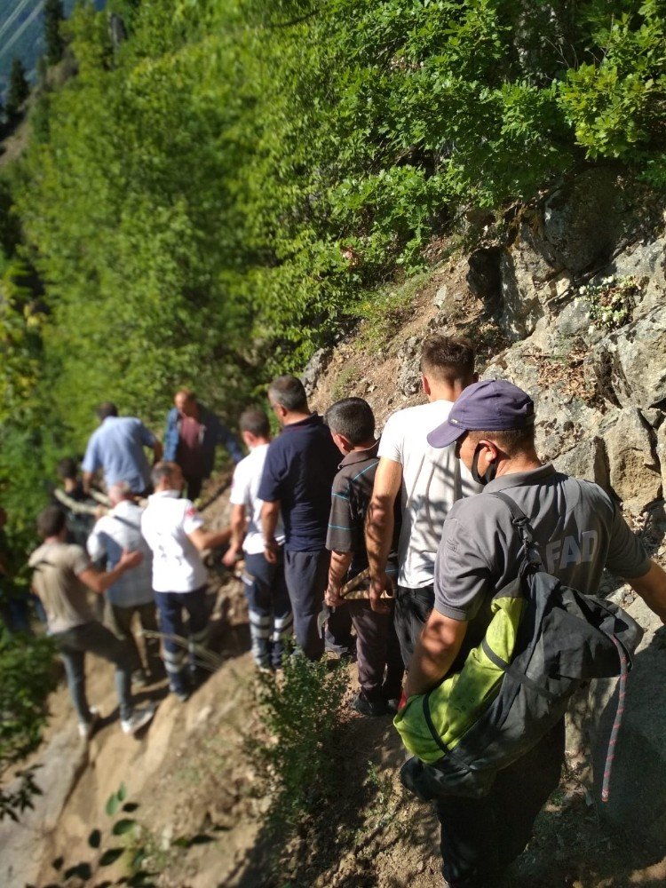 Artvin’de Uçuruma Düşen Kadın Hayatını Kaybetti