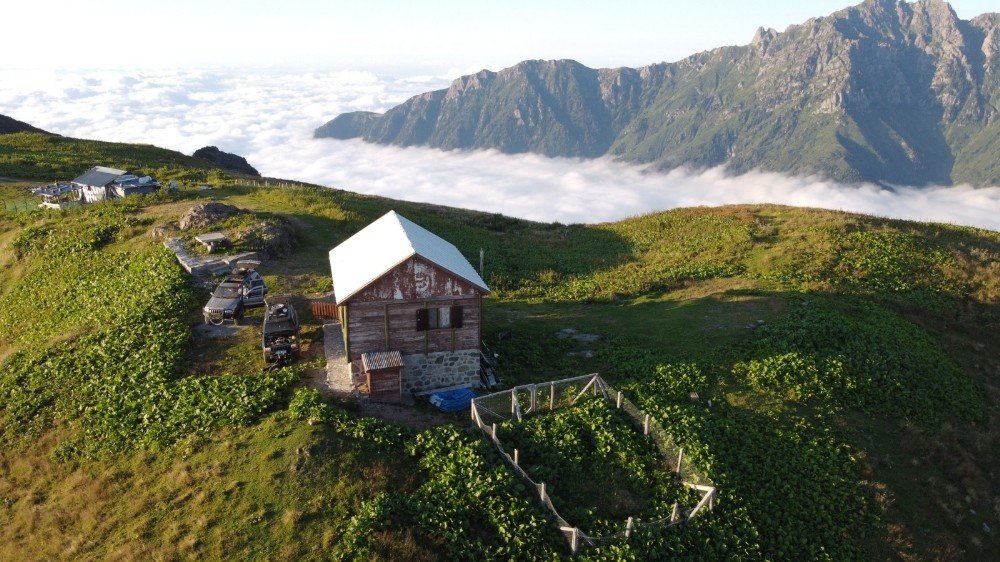 Artvin | 'Nopapeni Yaylası' Görülmeye Değer