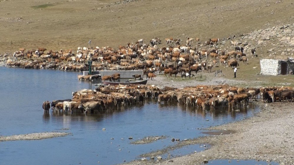 Kars’ta 'Gizemli Bir Göl': Aygır Gölü