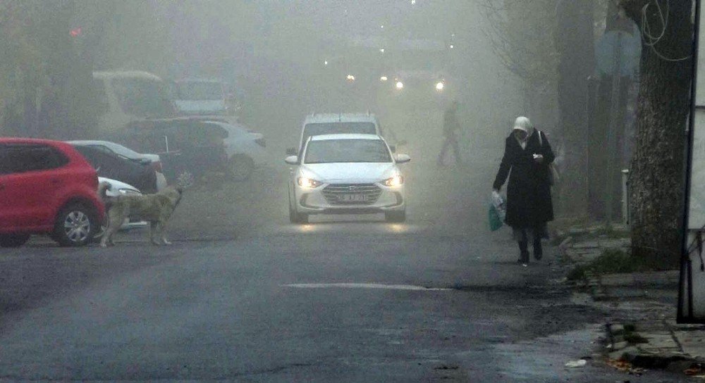 Kars’ta Sis Etkili Oldu
