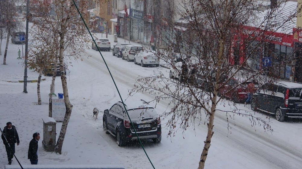 Ardahan'da Yoğun Kar Yağışı