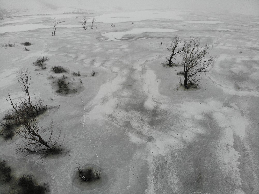 Kars’ta Soğuk Hava ve Sis