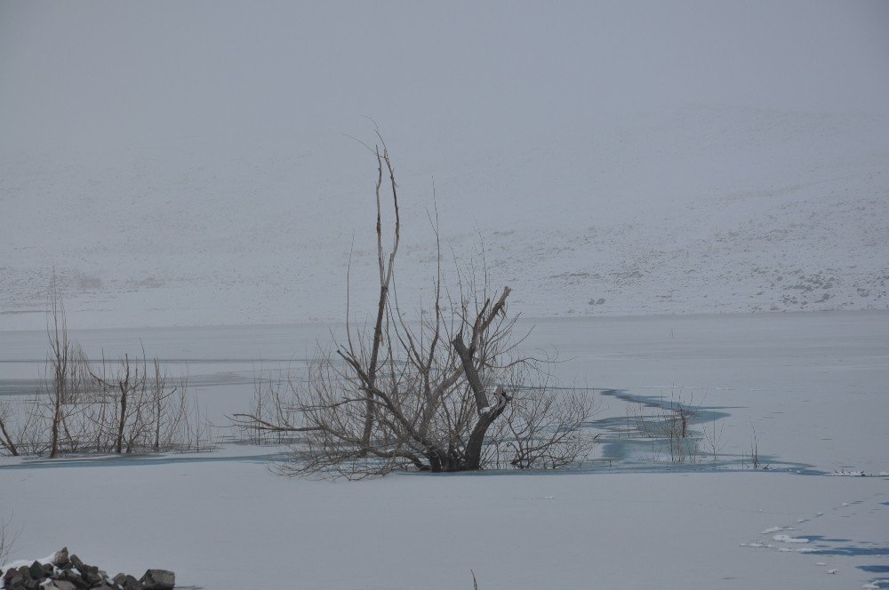 Kars’ta Soğuk Hava ve Sis