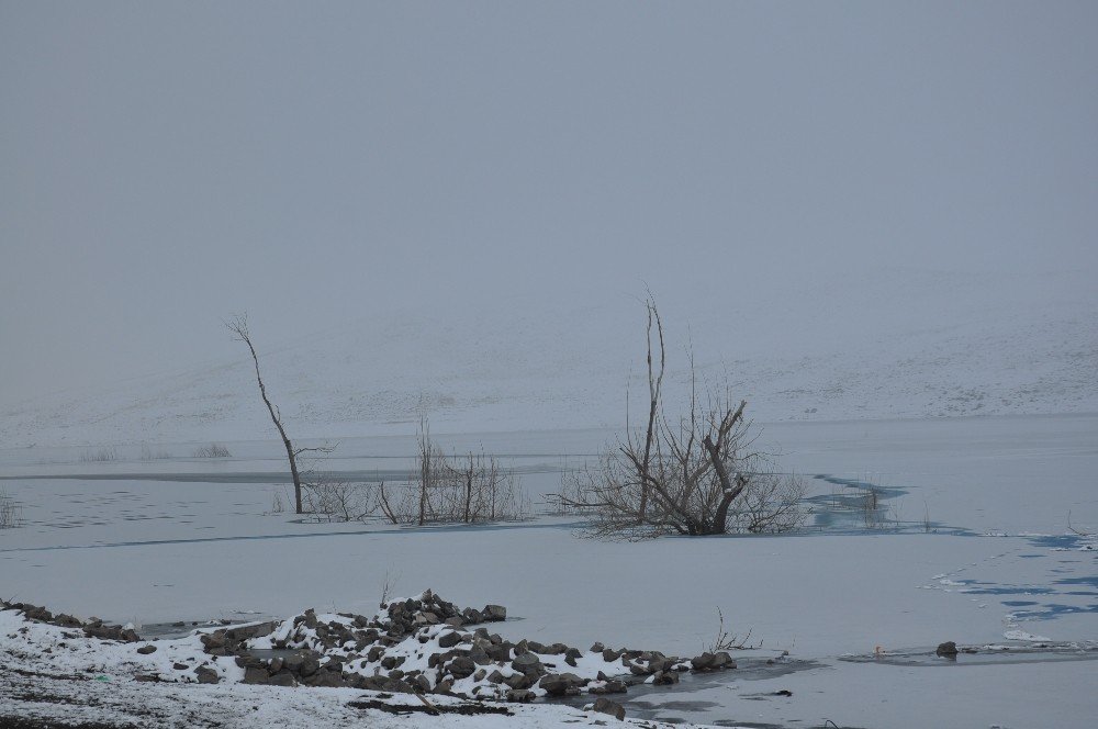 Kars’ta Soğuk Hava ve Sis