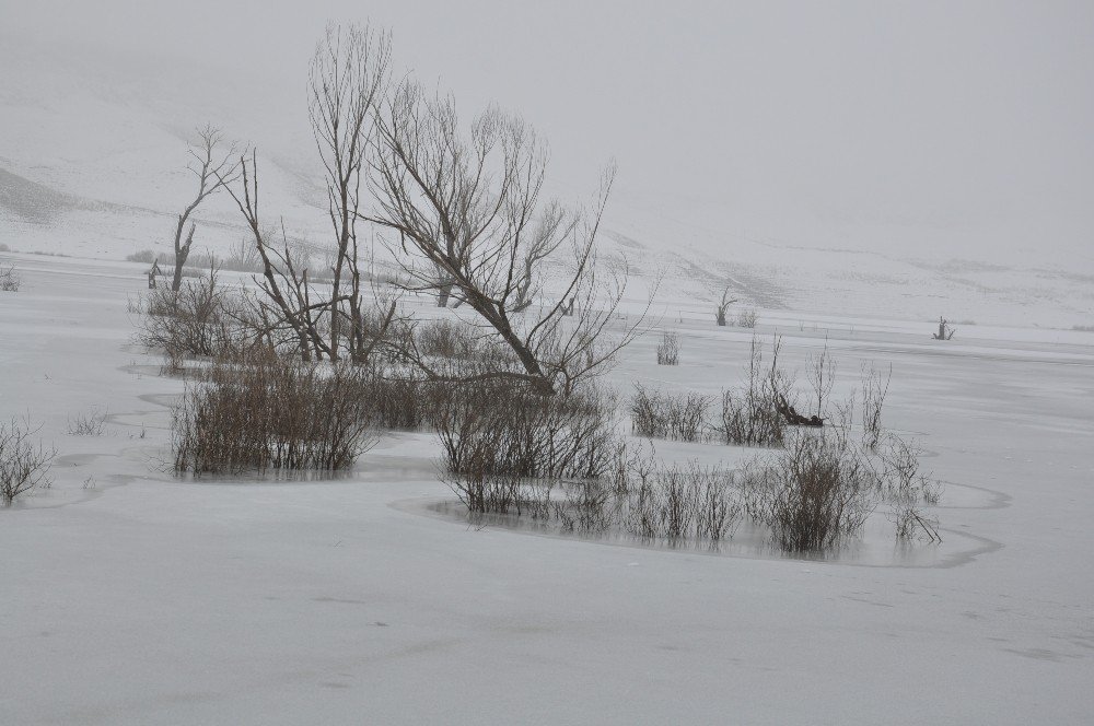 Kars’ta Soğuk Hava ve Sis