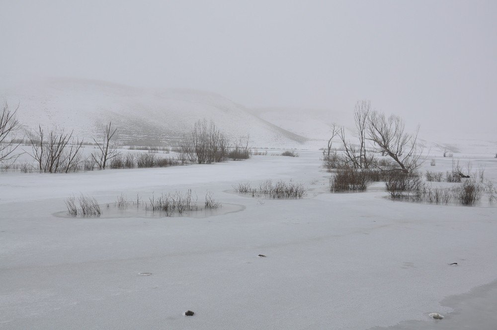 Kars’ta Soğuk Hava ve Sis