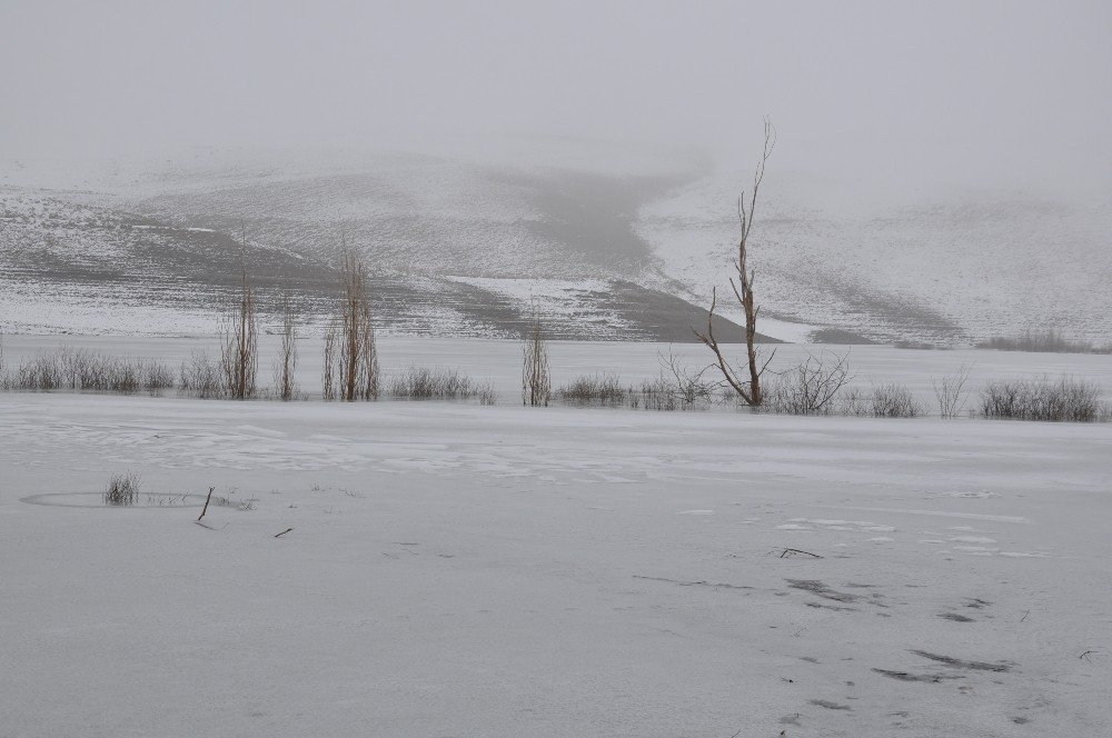 Kars’ta Soğuk Hava ve Sis