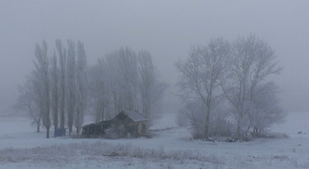 Kars | Soğuktan Sis ve Kırağı Oluştu