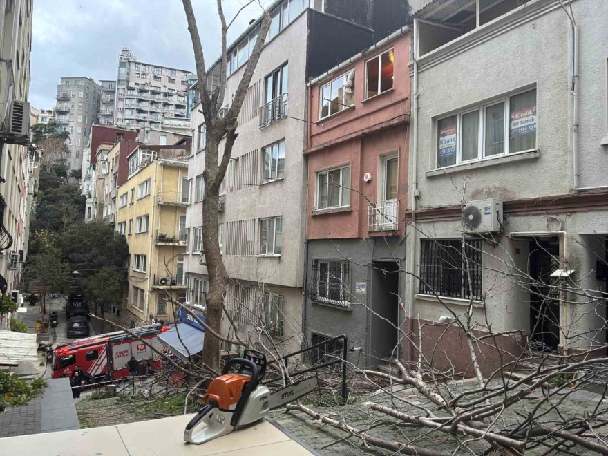 Beyoğlu’nda Ağacın Kırılan Dalları Binanın Üzerine Düştü