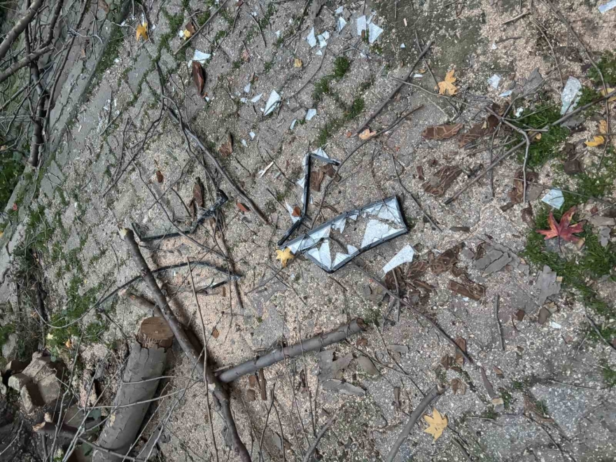 Beyoğlu’nda Ağacın Kırılan Dalları Binanın Üzerine Düştü