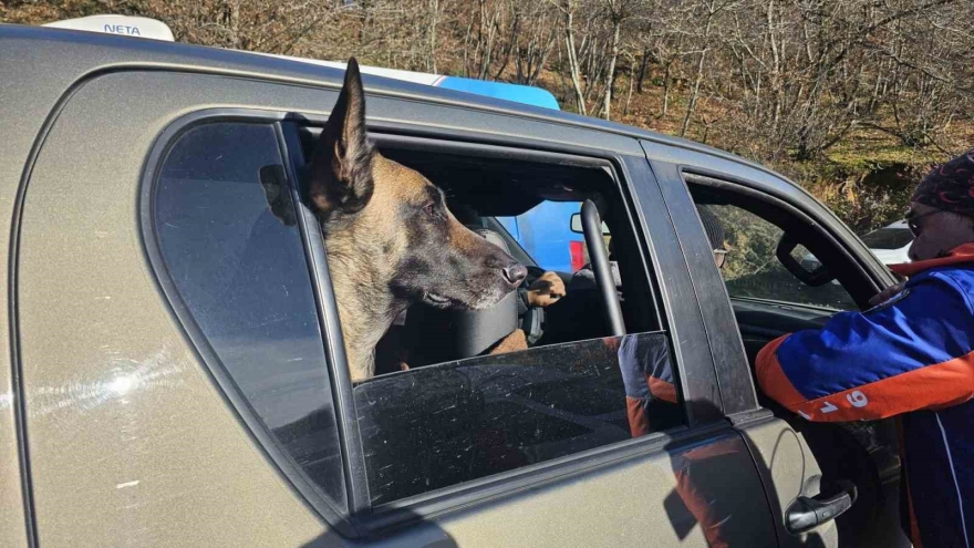 Kayıp Elif’in Ağabeyi: "varsayımlar Üzerinden Gidiliyor, Elif’ten İz Yok"