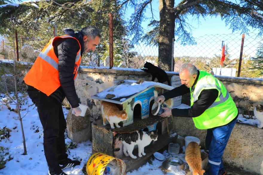 Elazığ’da Doğaya Yem Bırakıldı