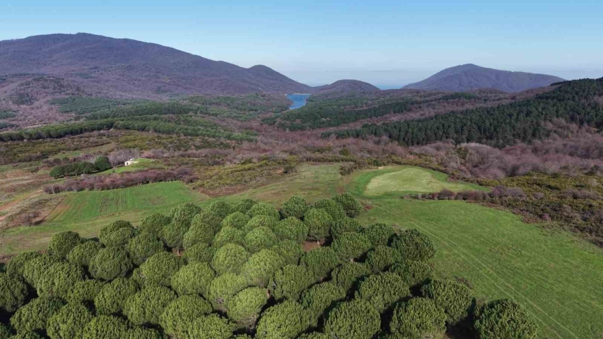 Kayıp Elif’in Ağabeyi: "varsayımlar Üzerinden Gidiliyor, Elif’ten İz Yok"