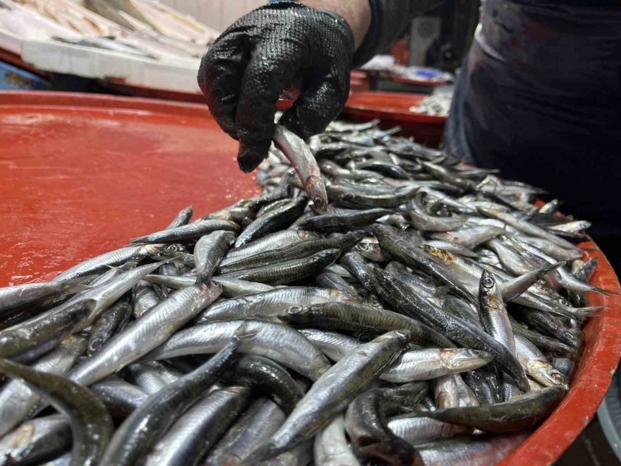 Geciken Kış Konya’da Balığı Da Vurdu