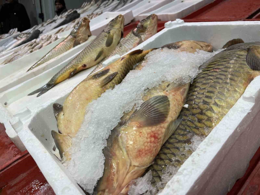 Geciken Kış Konya’da Balığı Da Vurdu