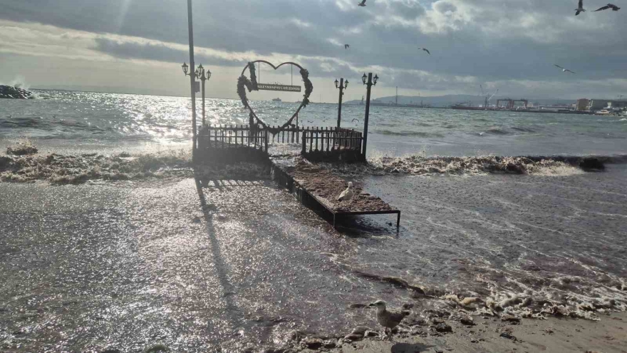 Tekirdağ’da Lodos Kıyıyı Vurdu, Kızıl Yosunlar Sahili Kapladı