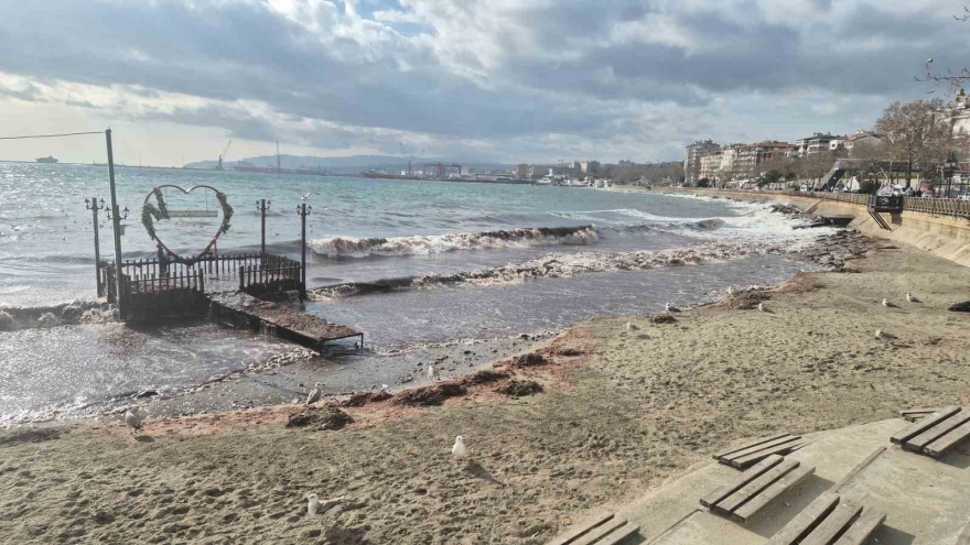 Tekirdağ’da Lodos Kıyıyı Vurdu, Kızıl Yosunlar Sahili Kapladı