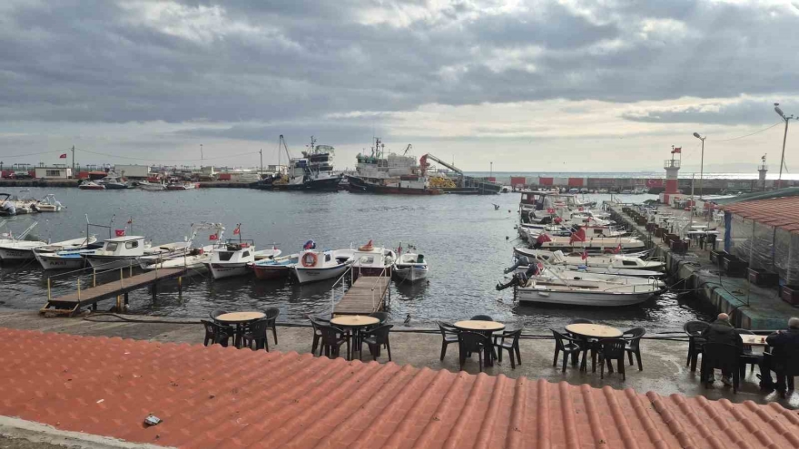 Tekirdağ’da Lodos Kıyıyı Vurdu, Kızıl Yosunlar Sahili Kapladı