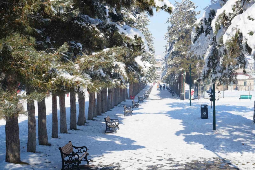 Muş’ta Eksi 28 Derece: Göletler Dondu, Çatılarda Buz Sarkıtları Oluştu