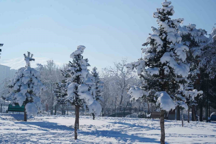 Muş’ta Eksi 28 Derece: Göletler Dondu, Çatılarda Buz Sarkıtları Oluştu