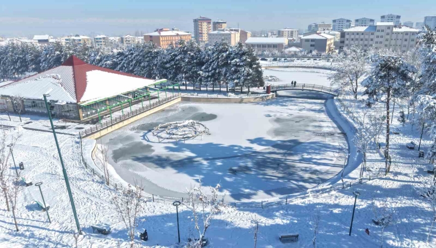 Muş’ta Eksi 28 Derece: Göletler Dondu, Çatılarda Buz Sarkıtları Oluştu