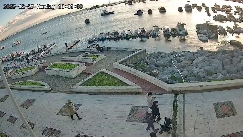 Pendik’te Vicdanları Sızlatan Olay: Kediye Tekme Atıp Denize Fırlattı