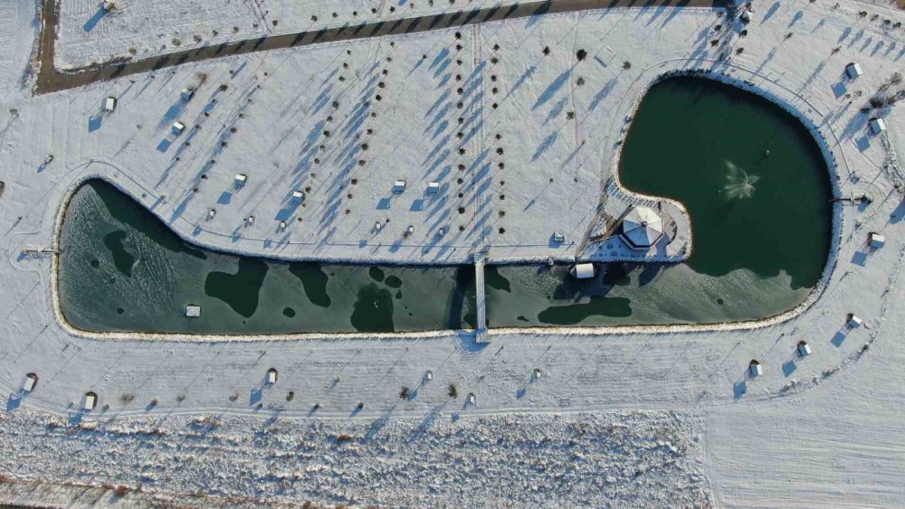 Sivas’ta Soğuk Hava Etkisini Gösterdi.. Ördeklerin Olduğu Gölet Kısmen Dondu!