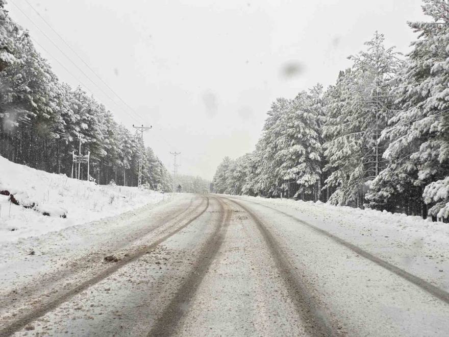 Pozantı’da Kar Yağışı Etkili Oldu