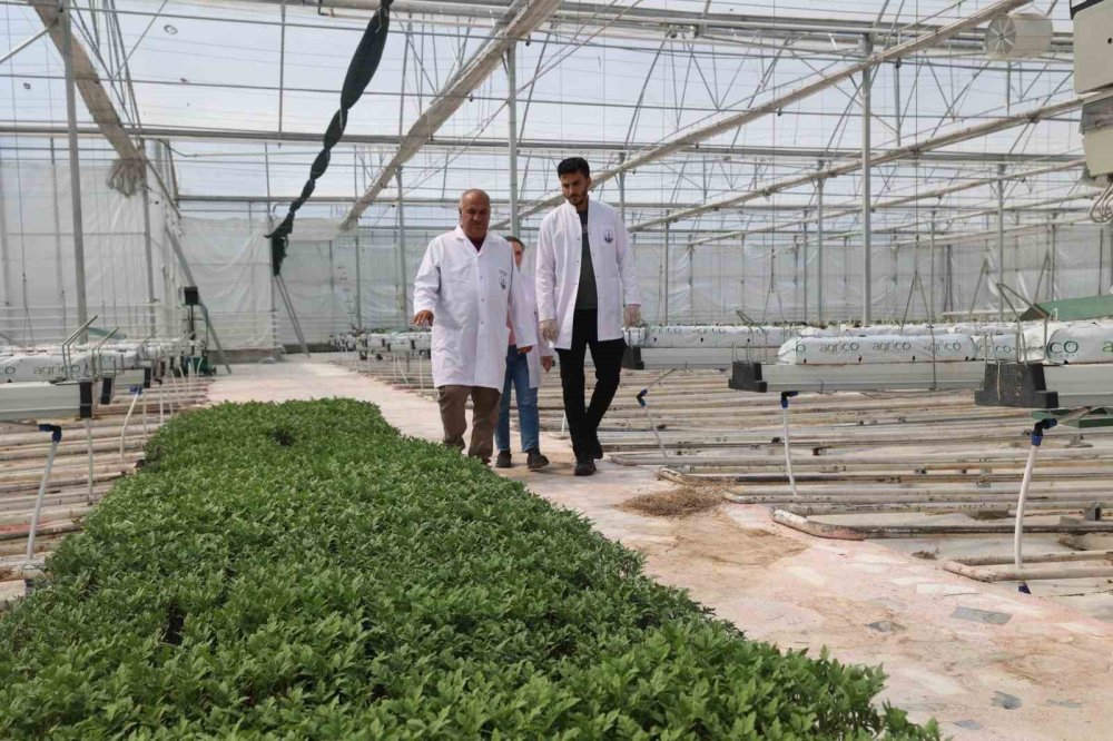 Erzurum Aziziye’de 2025 Yılı.. Bir Yıllık Yatırım Bilançosu!