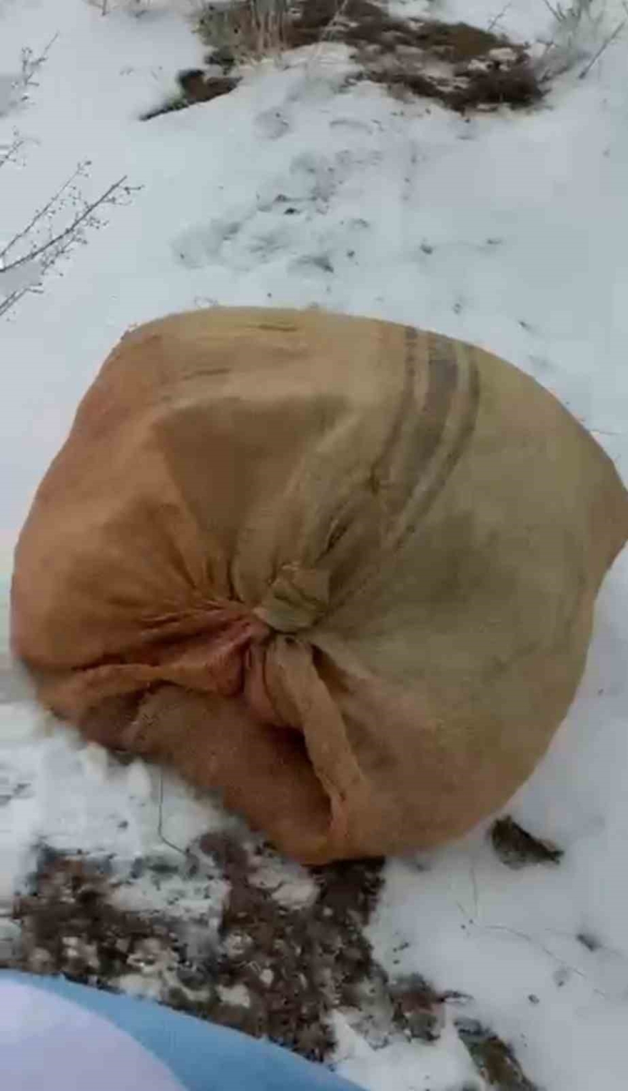 Zirveye Şefkat Tırmanışı: Yüksekova’da Dağ Keçileri İçin Metrelerce Karı Aştılar