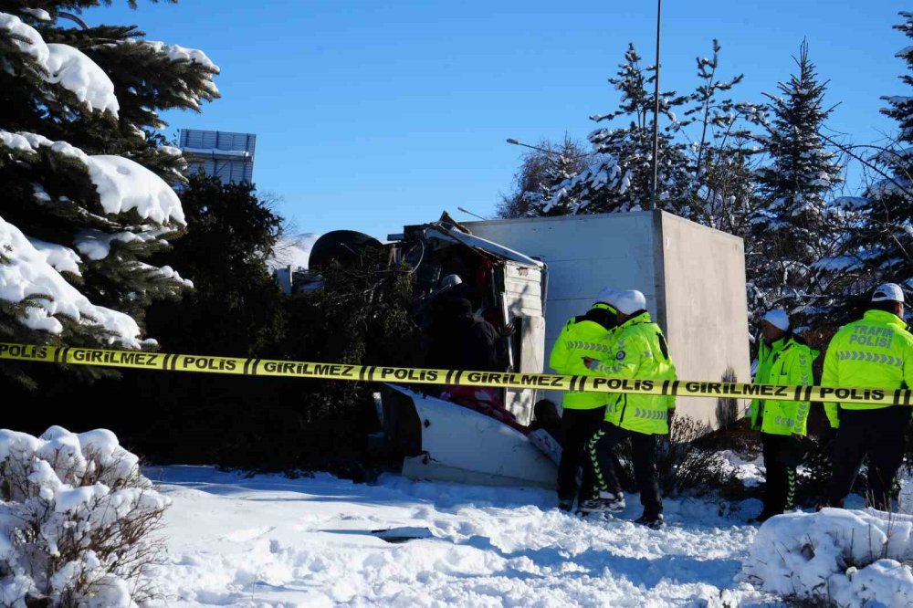 Işıklarda Duramayan Kamyon Devrildi, Çarptığı Ağacı Kökünden Söktü