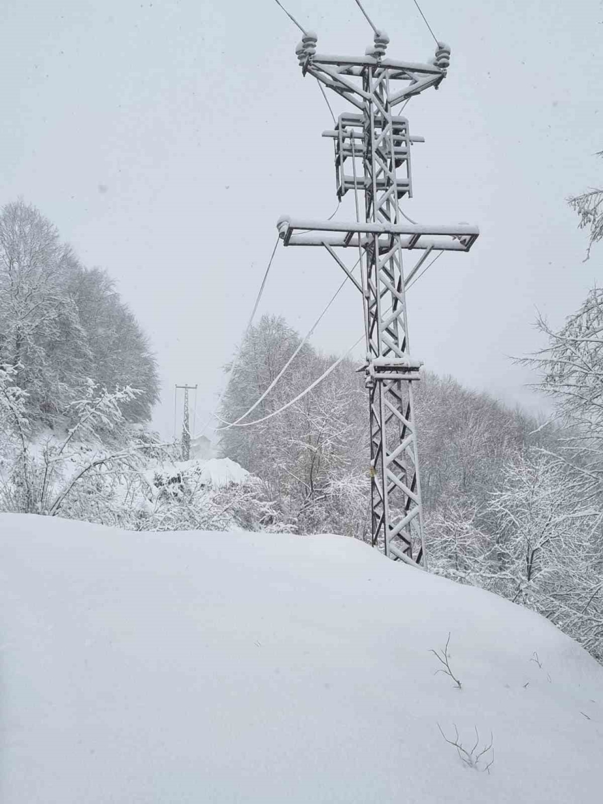 Batı Karadeniz’de Kışa Meydan Okuyan Enerji Mesaisi