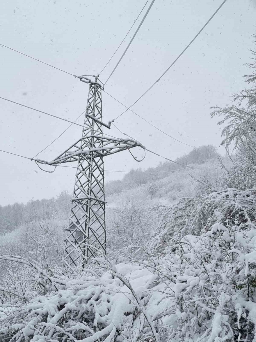 Batı Karadeniz’de Kışa Meydan Okuyan Enerji Mesaisi
