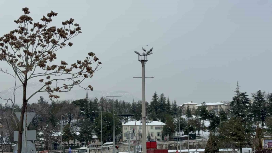 Karabük’ün Simgesi Haline Gelen Leylek Dronla Görüntülendi