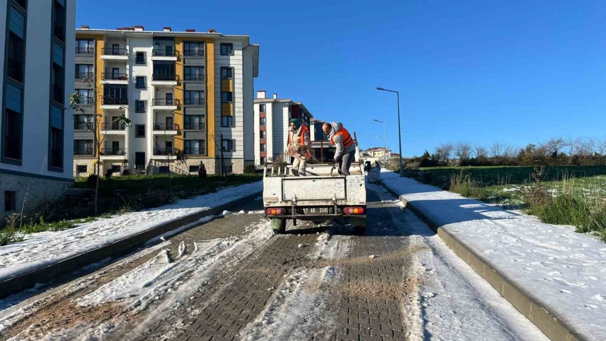 Sinop’ta ’kürekli’ Tuzlama Çalışması