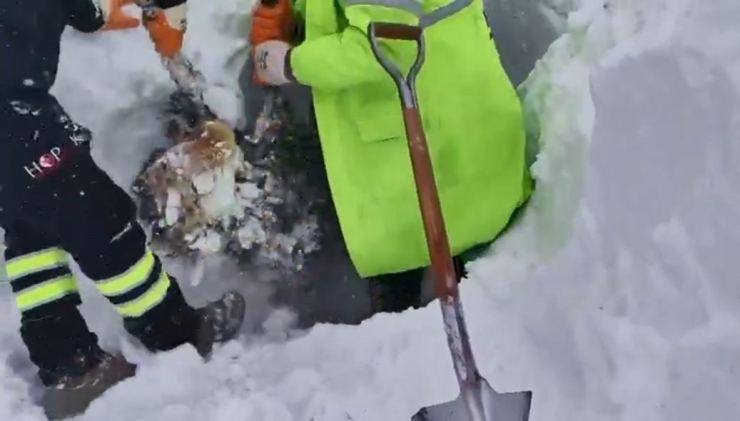 Artvin’de Çığ Bölgesinde Arama Kurtarma Çalışmaları İkinci Günde Yeniden Başladı