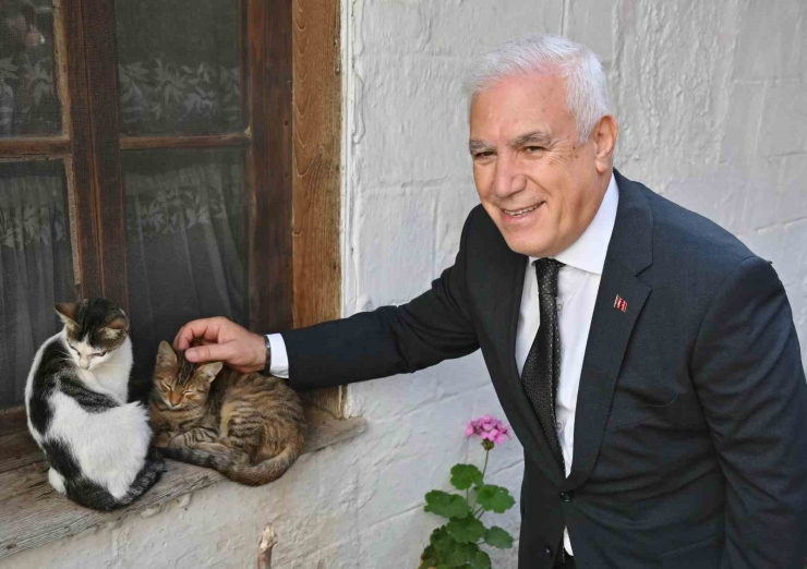 Bursa Büyükşehir Belediyesi Patili Dostların Yanında