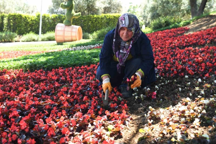 Osmangazi’de Yatırım Ve Projeler Hız Kesmedi