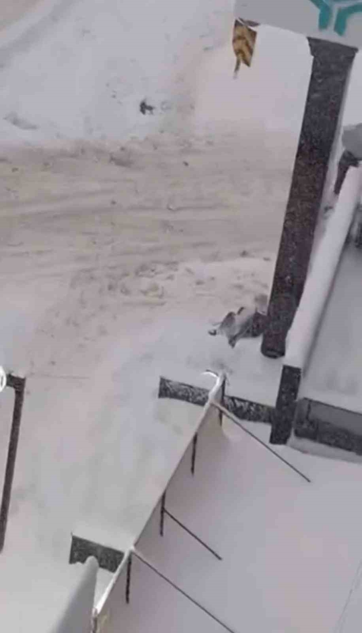 Diyarbakır’da Kar Çileye Dönüştü