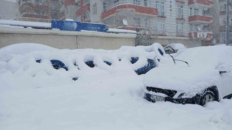 Kulp’ta 10 Yılın En Yoğun Kar Yağışı: Araçlar Kar Altında Kaldı