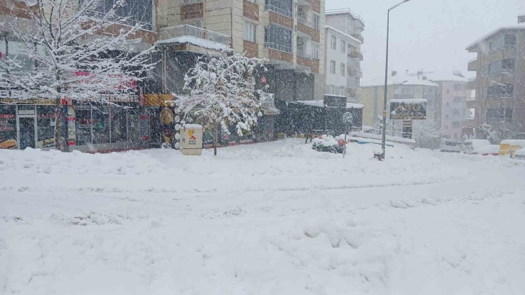 Kulp’ta 10 Yılın En Yoğun Kar Yağışı: Araçlar Kar Altında Kaldı