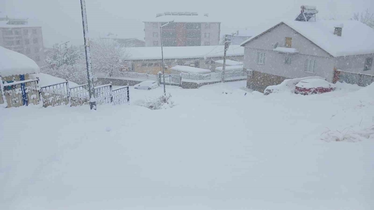 Kulp’ta 10 Yılın En Yoğun Kar Yağışı: Araçlar Kar Altında Kaldı