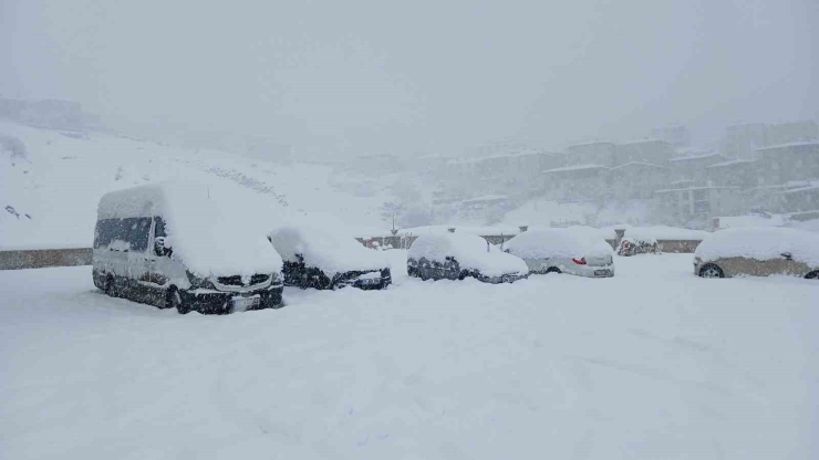 Kulp’ta 10 Yılın En Yoğun Kar Yağışı: Araçlar Kar Altında Kaldı