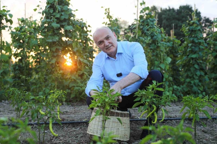 Düzce Belediyesi 2026’yı Hamle Yılı İlan Etti